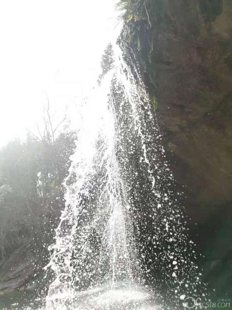 彰显“国际湿地、沿海绿城”生态魅力