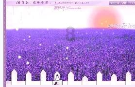 轻巧而性价比极高 老当益壮的天鹰攻击机 服役70多年真是个传奇